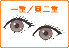 一重/奥二重