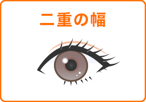 二重の幅